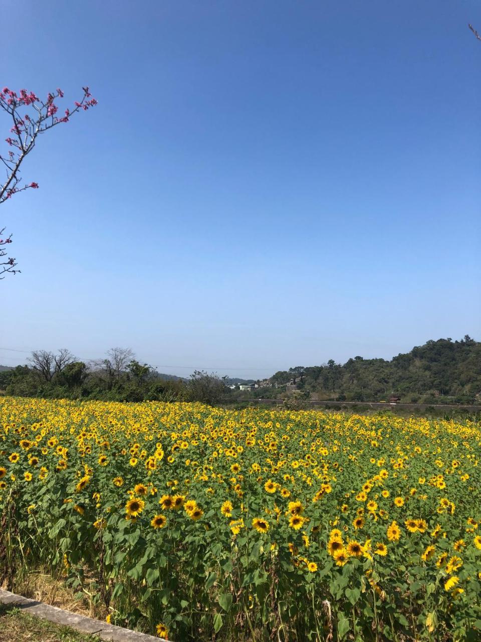 南庄漫晨旅店nanzhuang Manchen B&B ภายนอก รูปภาพ